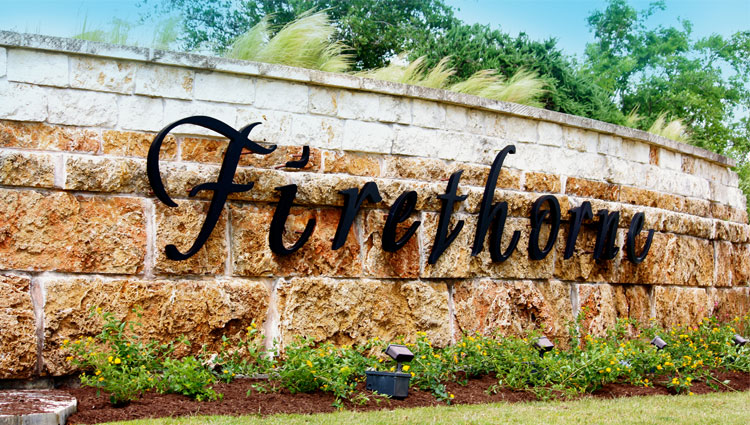 Firethorne's Image