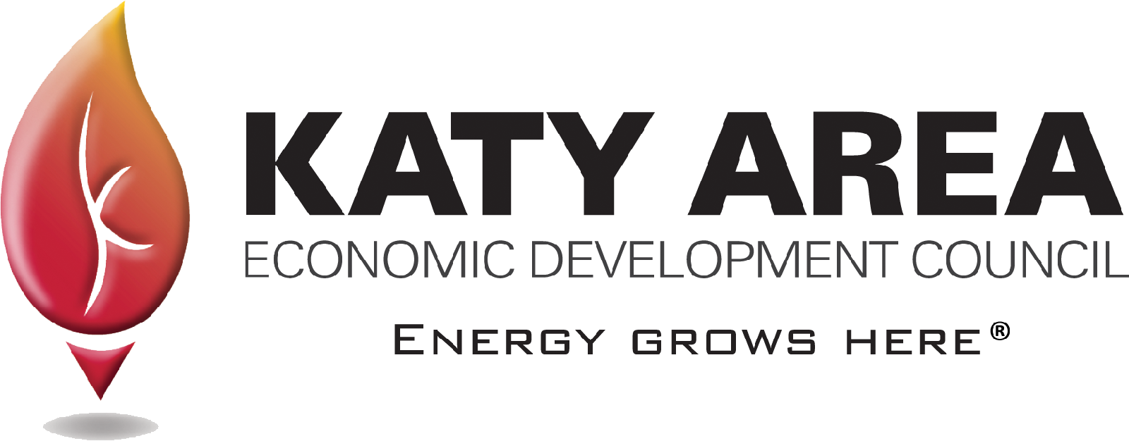 Kelsey-Seybold talks new Katy area facility, Fort Bend County shares update on CARES Act at October GA Photo