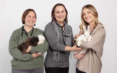 Collaborative and Grateful Pet Service in Roseville Photo