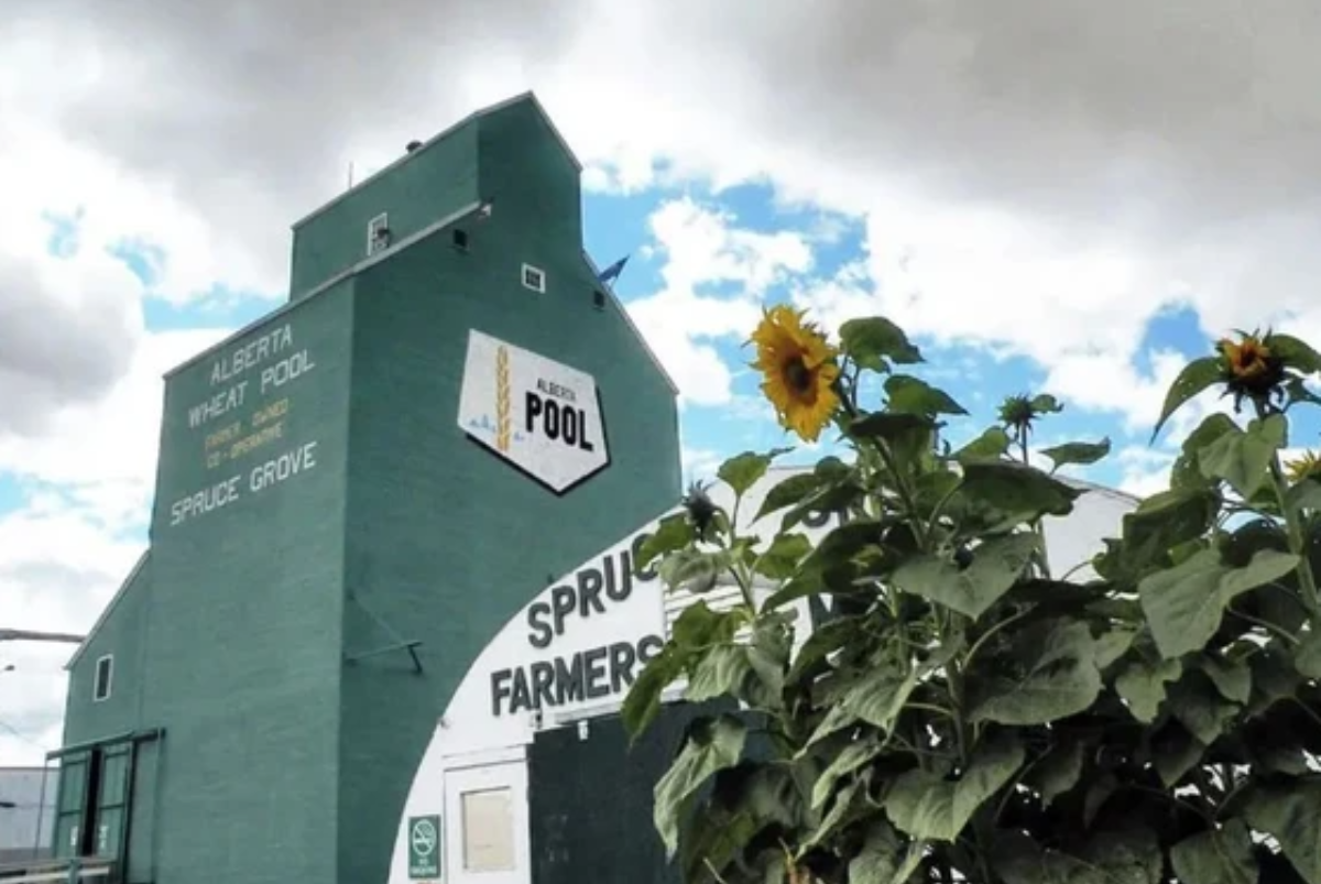 Agra Fair set to return to Spruce Grove after 20-plus-year hiatus Main Photo