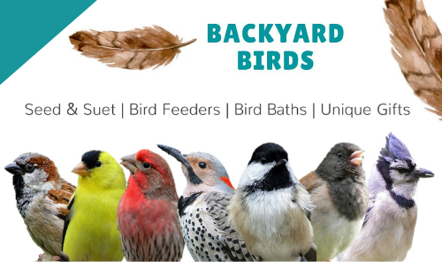 Backyard Birds Nature Shop - Now Open! Photo