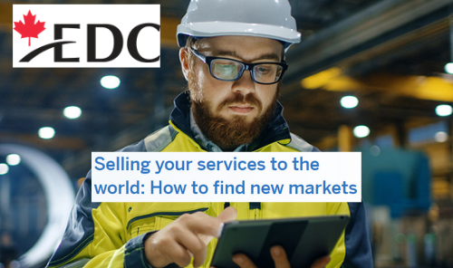 Selling your Services to the World: How to Find New Markets Photo