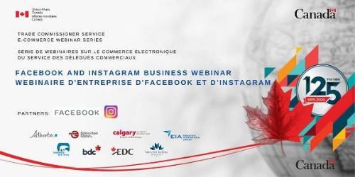 Facebook & Instagram Webinars for Businesses Photo