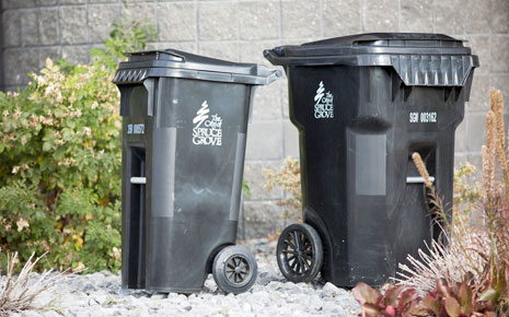 Garbage, Organics, & Recycling Image