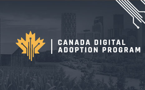 canada digital adoption program